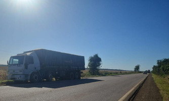 Polícia Civil realiza operação contra transporte ilegal de madeira entre Mato Grosso e Rondônia