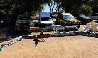 Cães do Gefron ajudam a causar prejuízo de R$ 23,5 milhões ao tráfico em Mato Grosso