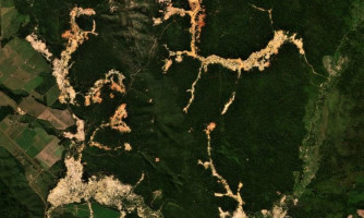 Servidores do Ibama e da Polícia Civil de Goiás são atacados por garimpeiros ilegais na Terra Indígena Sararé