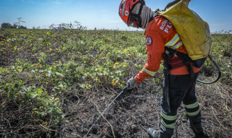 Corpo de Bombeiros combate 38 incêndios florestais, Vila Bela e Cáceres aparece na lista
