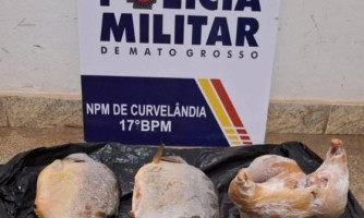 Homem é preso com peixes e paca abatida durante abordagem policial em Curvelândia