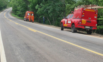 Acidente grave tira vida de uma pessoa na BR 174, próximo de Adrianópolis