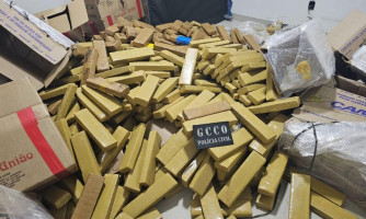 Apreensões de drogas em 2025 geram prejuízo de R$ 574 milhões às facções criminosas