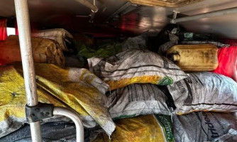 Polícia Ambiental apreende mais de duas toneladas de carvão vegetal
