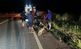 Motociclista fica ferido após atingir tamanduá na estrada do Matão em Pontes e Lacerda