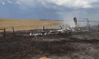 Piloto morre após avião agrícola cair e pegar fogo em Campo Novo do Parecis
