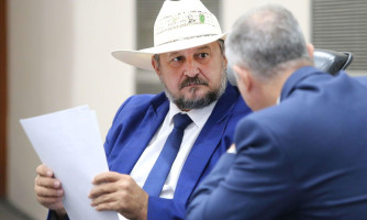 LEI RAQUEL CATTANI: Projeto cria programa de proteção e assistência a órfãos do feminicídio em MT