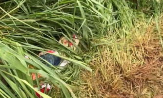 Segundo corpo é encontrado as margens do rio Guaporé em Pontes e Lacerda