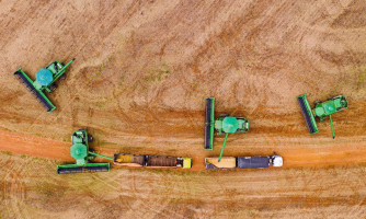 Sefaz define regras e limite para incentivo fiscal à soja a granel em 2026