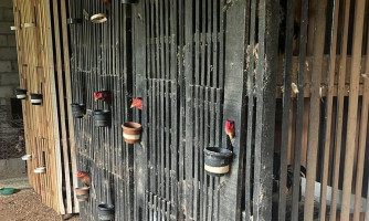 Polícia Civil e Sema desarticulam rinha de galos na região do Engordador, em Várzea Grande