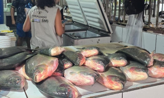 Operação conjunta apreende aproximadamente meia tonelada de pescado irregular em feira da Capital