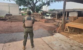 Polícia Civil cumpre mandados e desarticula grupo envolvido em crime ambiental e lavagem de dinheiro