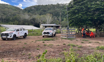 Mulher desaparecida na mata: buscas podem ter reforço de Cuiabá