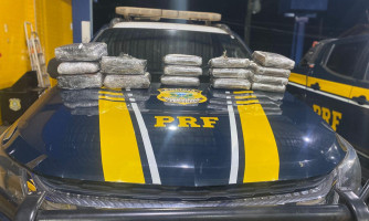 PRF apreende mais de 16kg de skunk em ônibus na BR-174