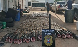 Pesca predatória: Polícia fecha esquema de compra e venda ilegal de pescado