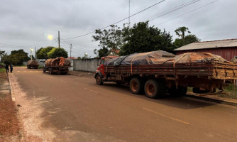 Carga irregular de madeira é interceptada pela Polícia Civil em Vila Bela; 1.284 toras são apreendidas