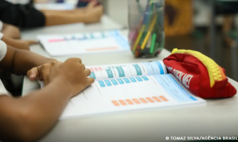 Educação política passa a integrar currículo escolar brasileiro