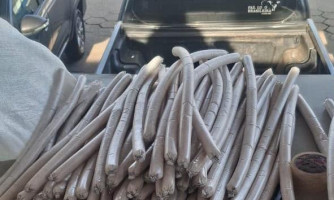 Cerca de 1 tonelada de explosivos e 100 kg de mercúrio são apreendidos pela PM em Comodoro