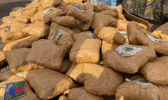 Cerco ao tráfico: quase 500kg de skunk avaliados em R$ 1 milhão são apreendidos em Pontes e Lacerda