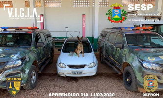 Com auxílio da cadela Mel do Canilfron Gefron apreende super maconha