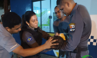 Criança em convulsão desmaia e PMs conseguem reanima-lo, em Pontes e Lacerda