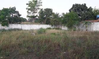 Matagal cobre os túmulos do primeiro cemitério de Pontes e Lacerda no bairro Vila Guaporé