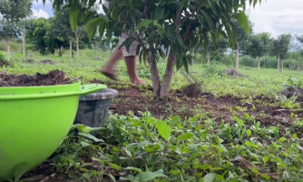 Pequeno produtor registra o “dia a dia na Roça”, em Pontes e Lacerda