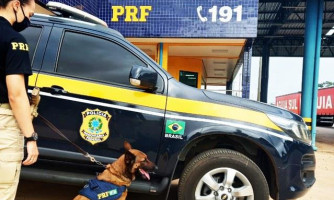Pontes-lacerdense é presa com drogas pela PRF em Cuiabá