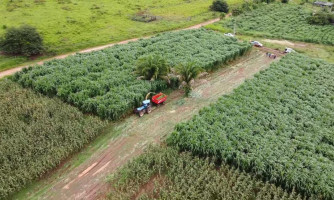 Prefeitura de Nova Lacerda auxilia agricultores da Gleba Bacurizal