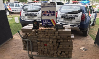 Produtividade da PM aponta aumento de 78% nas apreensões de drogas em Mato Grosso