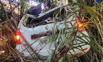 Veículo capota e sai da pista na BR 174 próximo de Adrianópolis; uma pessoa ferida