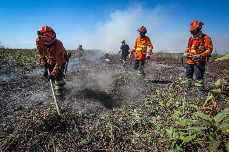 Corpo de Bombeiros segue combatendo incêndio no Pantanal nesta segunda-feira (15)