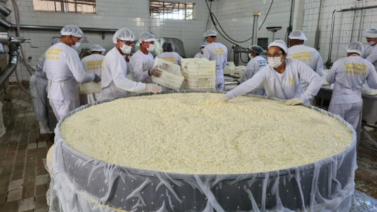 Festa em Curvelândia deverá ter queijo gigante de 2 toneladas