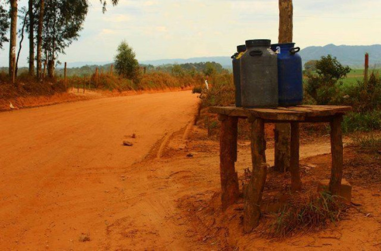 Ladrões furtam mais de mil litros de leite em tambores às margens de rodovia