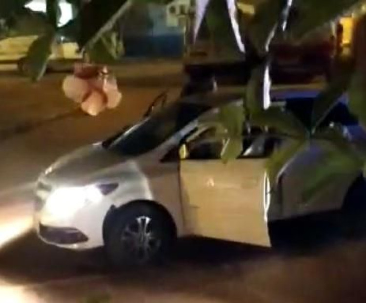 PM desarticula quadrilha especializada em roubo em Curvelândia