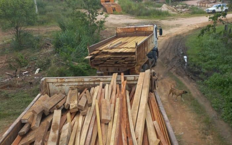 Sema apreende madeira irregular em depósitos e aplica multa de mais de R$ 73,7 mil a proprietário