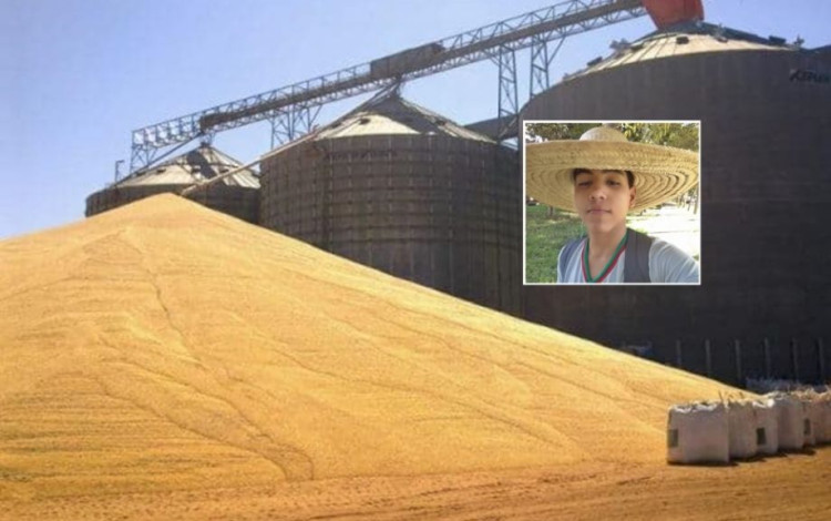 Técnico em agropecuária morre soterrado em silo de soja durante trabalho em fazenda em Vila Bela da Santíssima Trindade