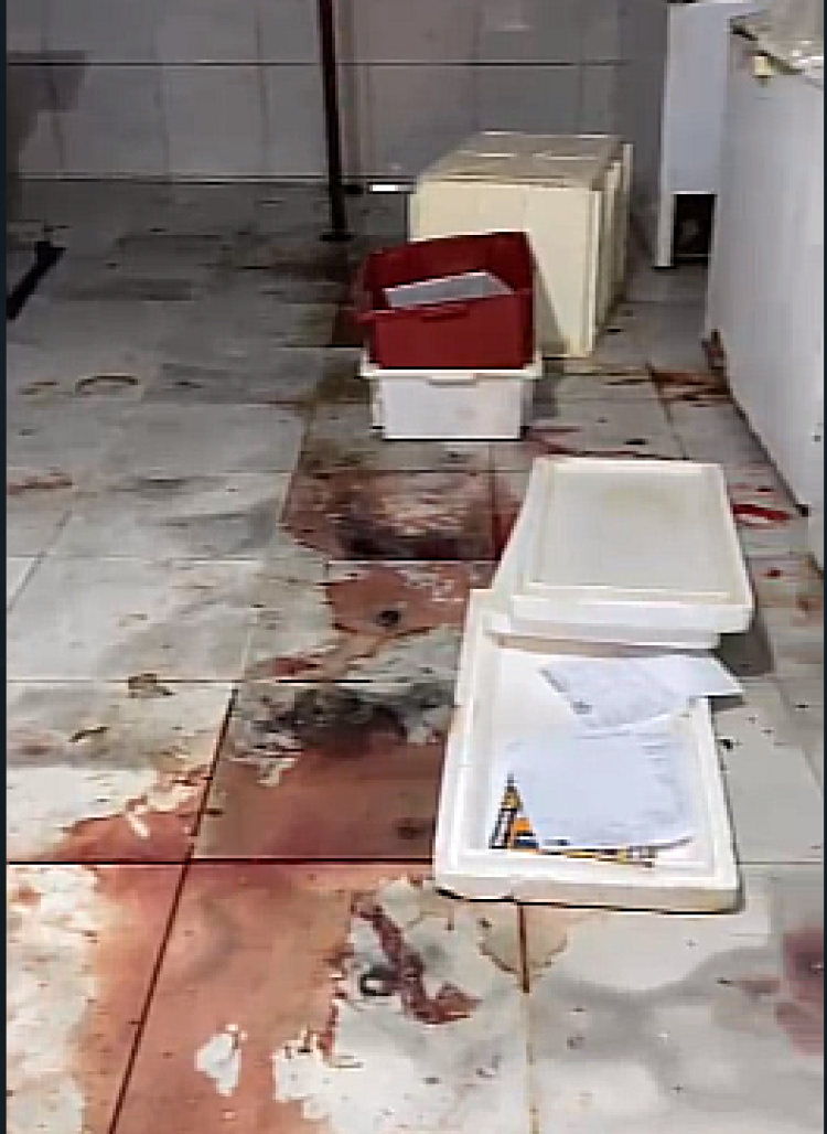 Funcionários são presos por furtar e vender carne de frigorífico, em Pontes e Lacerda