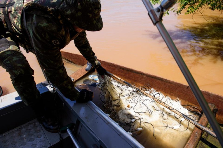 Projeto que combate pesca predatória em MT é aprovado na Assembleia Legislativa