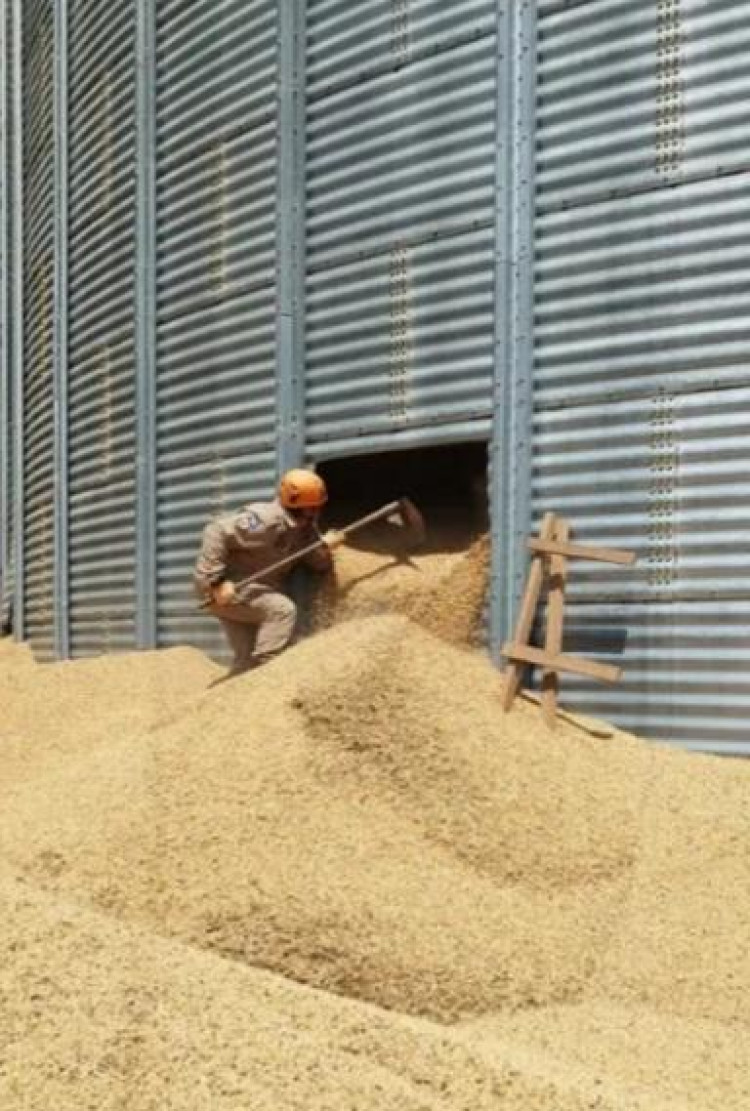 Trabalhador morre soterrado por grãos de soja quando fazia inspeção em silo em MT
