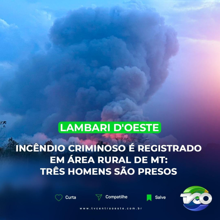 Incêndio criminoso é registrado em área rural de MT: Três homens são presos