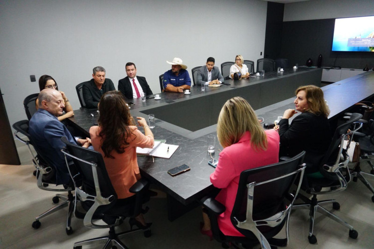 Diálogo Estratégico: Dep. Moretto e Governador em Exercício Pivetta Discutem Desenvolvimento Sustentável em Reunião com SEMA