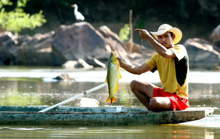 Lei do Transporte Zero: pesca predatória está proibida em MT a partir de janeiro de 2024
