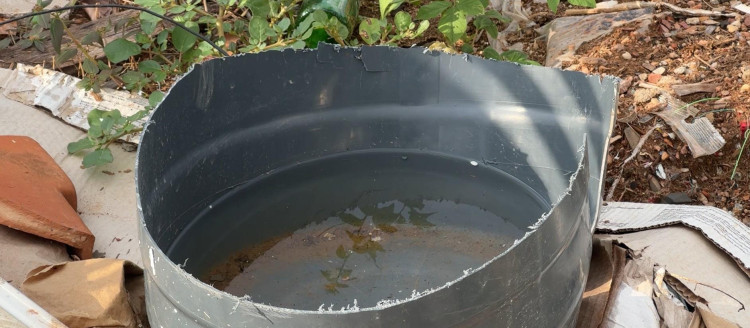 Acúmulo de lixo em lotes vazios preocupa moradores de Pontes e Lacerda e aumenta risco de dengue
