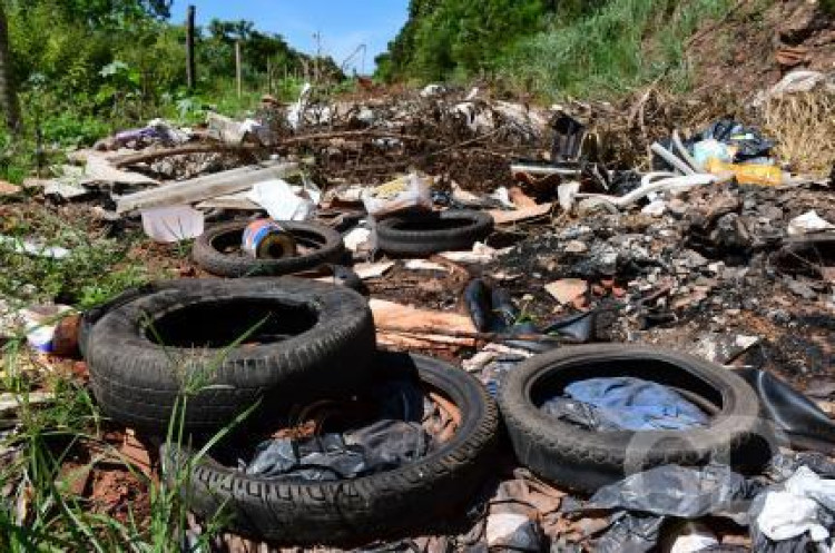 Com mais de 3 mil registros, Cáceres é a segunda cidade de MT com mais casos de dengue. 8 já morreram em Pontes e Lacerda