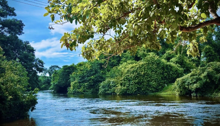 Rio Guaporé: Beleza Natural e Lazer em Pontes e Lacerda