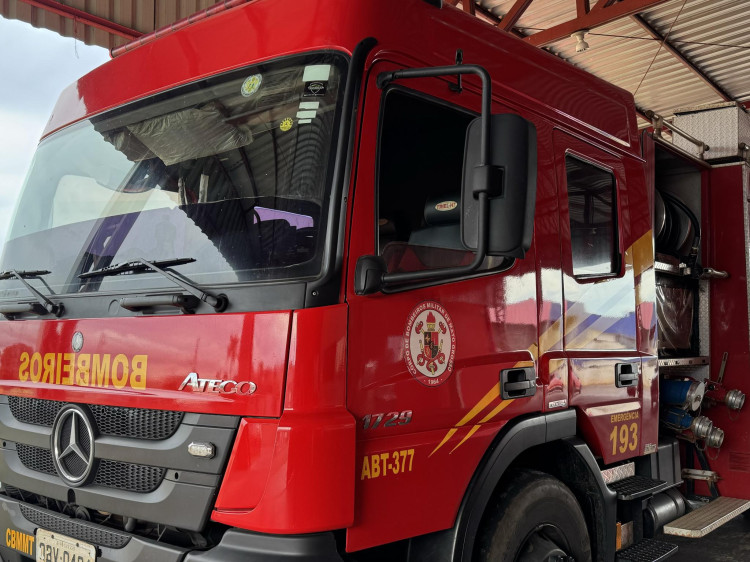 “Amiga solta: Bombeiros acionados para captura de cobra!”