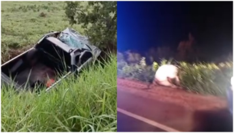 Motorista é socorrido após bate em um boi solto pista