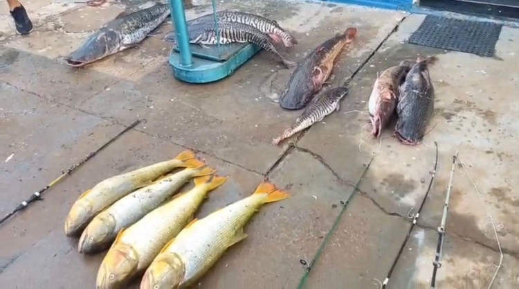 Equipe policial detém suspeita durante ação contra pesca predatória em Figueirópolis D’Oeste