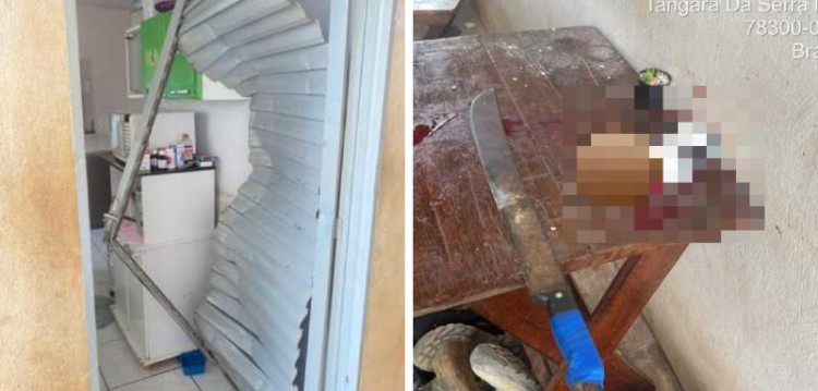 Irmãos vandalizam casa e decapitam gato em cima da mesa